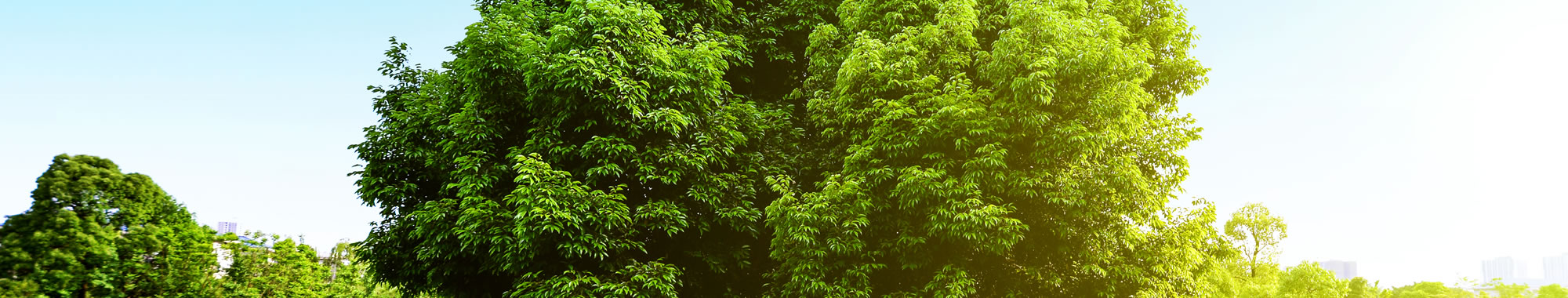 Slide background
